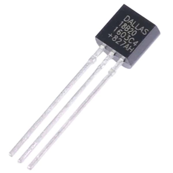DS18B20 Digital Thermometer
